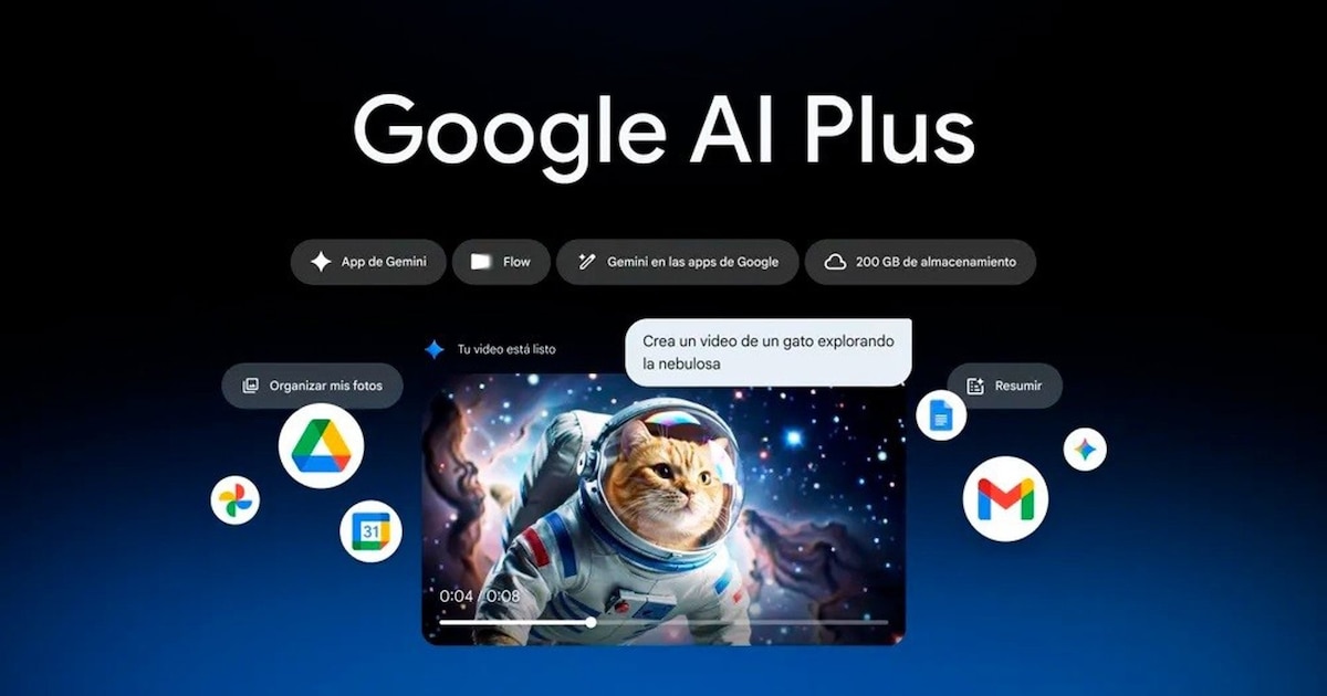 image preview(placeholder)