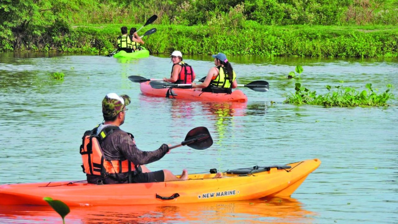 Kayak por la laguna Setúbal: recorridas para principiantes y palistas con experiencia