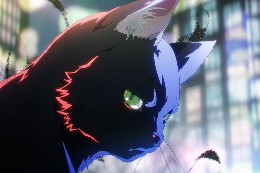 image preview(placeholder)