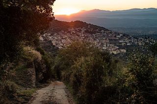 image preview(placeholder)