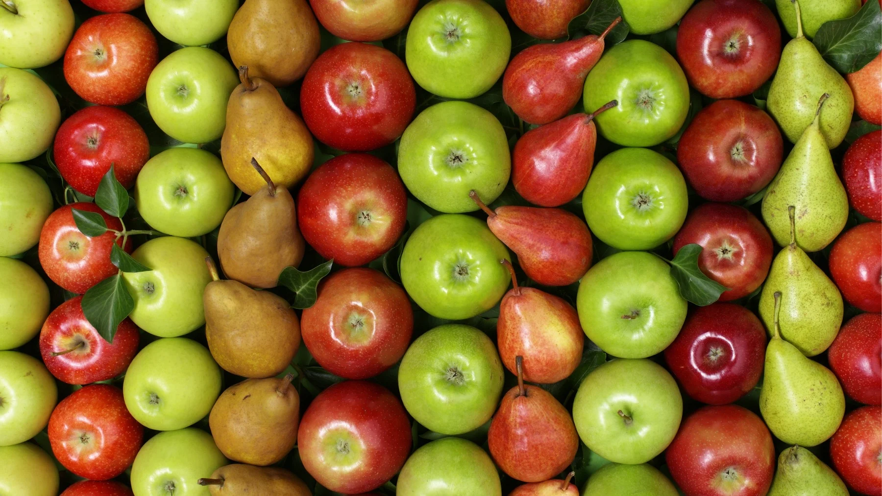 Crisis en Argentina y récords en Nueva Zelanda: el contraste en las ventas de manzanas y peras