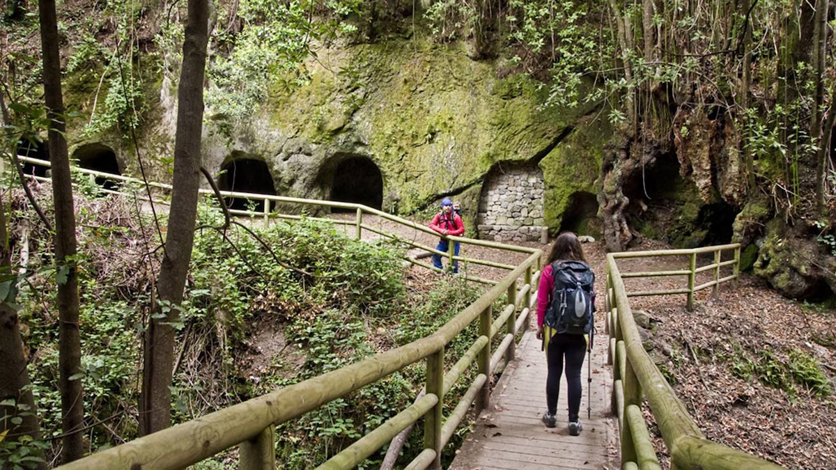 Tenerife, un paraíso para los deportes extremos, aventuras tecnológicas y naturaleza sin igual
