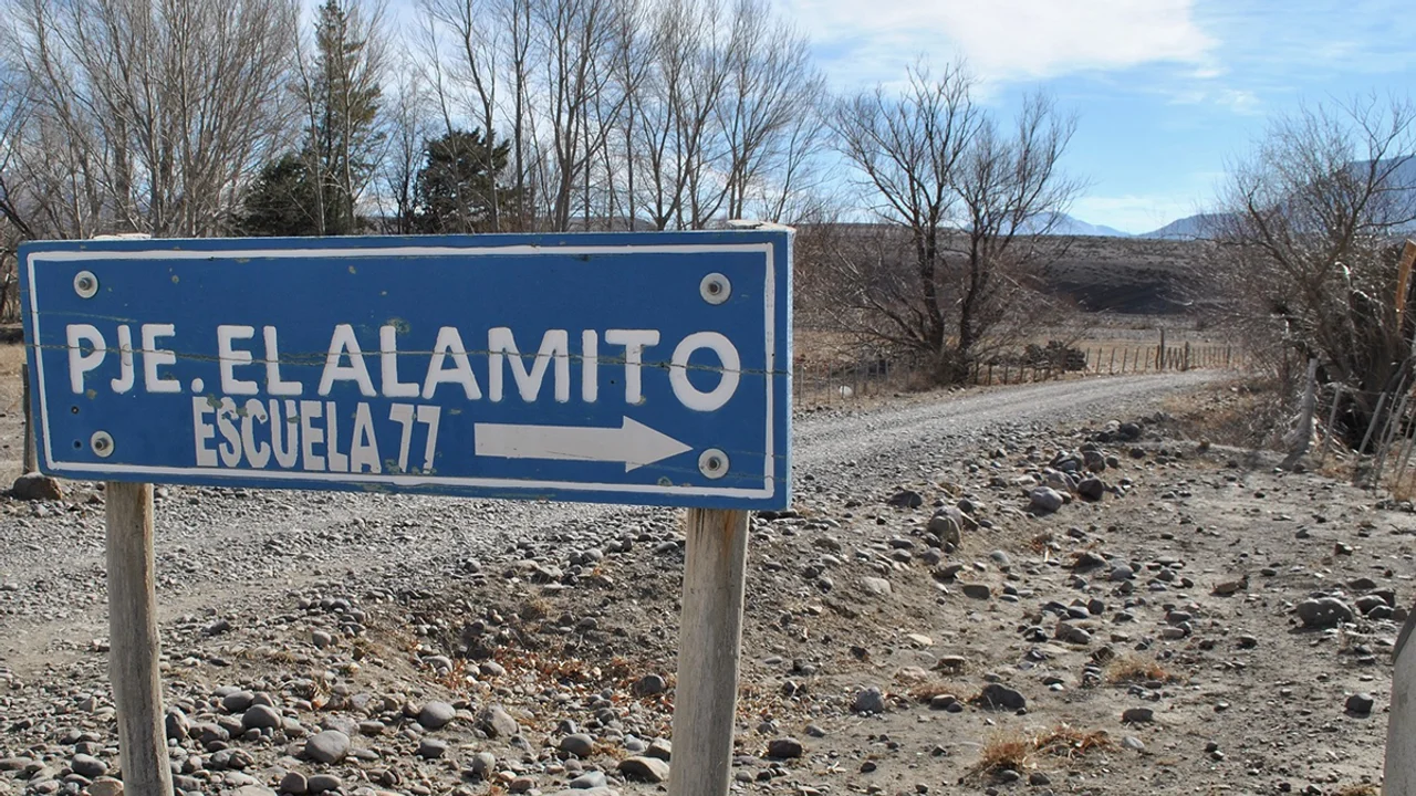 Hallazgo preocupante en El Alamito: 250 loros muertos y sospechas de envenenamiento