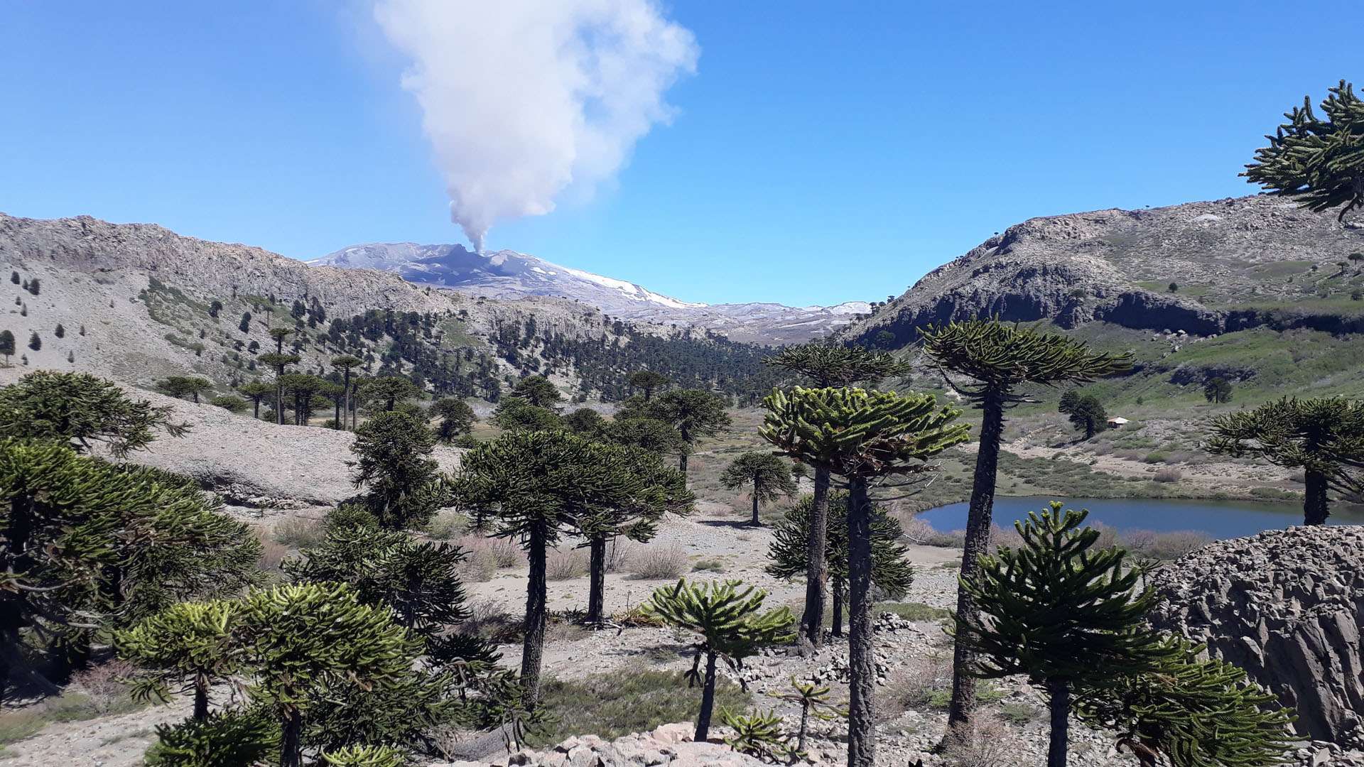 Neuquén colaborará con Francia y Suiza en el estudio de cenizas del Volcán Copahue