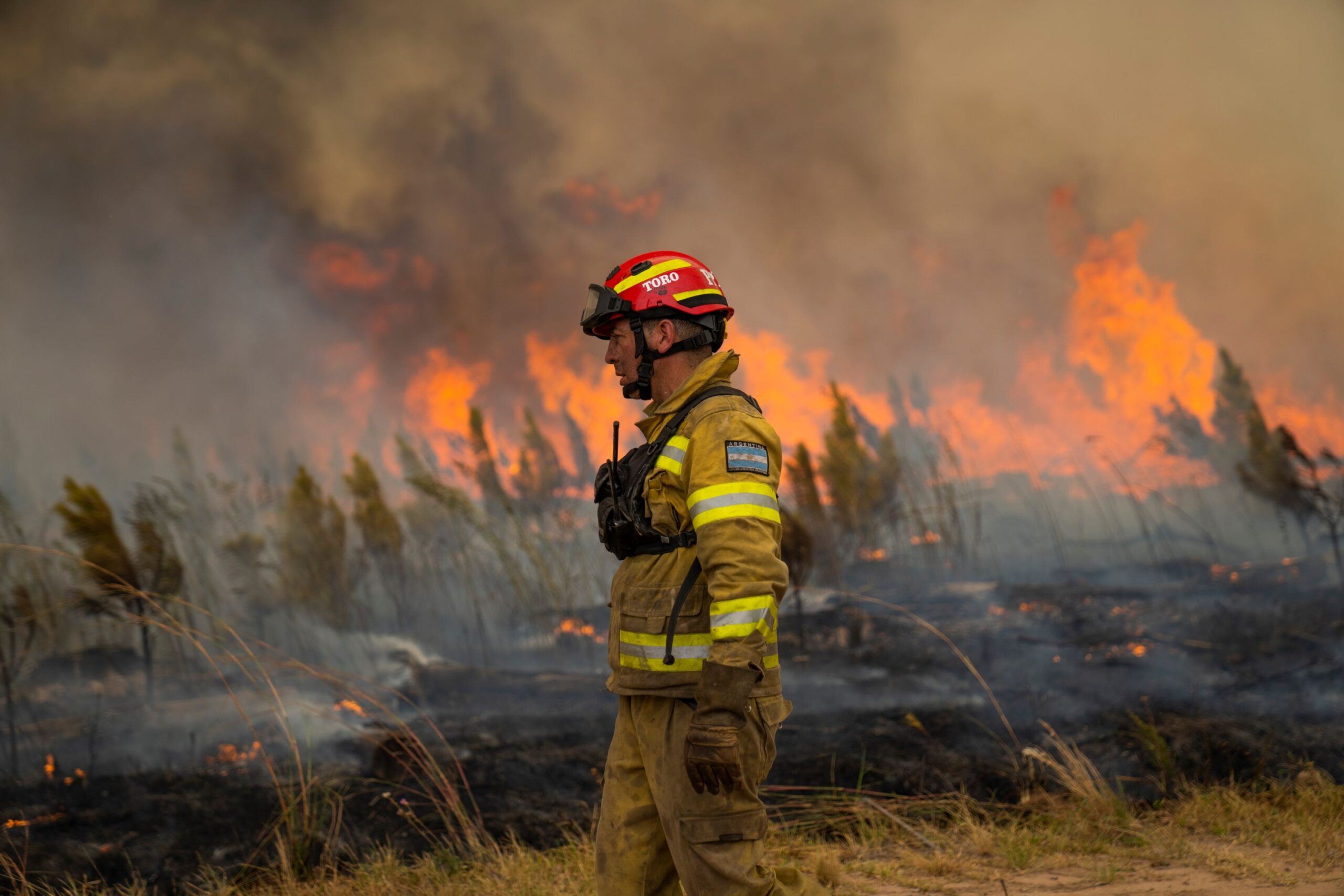 Récord histórico de incendios forestales en Neuquén: «Nunca se vio en la provincia»