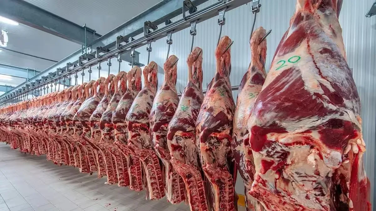 Argentina registra el mayor nivel de exportaciones de carne en un siglo