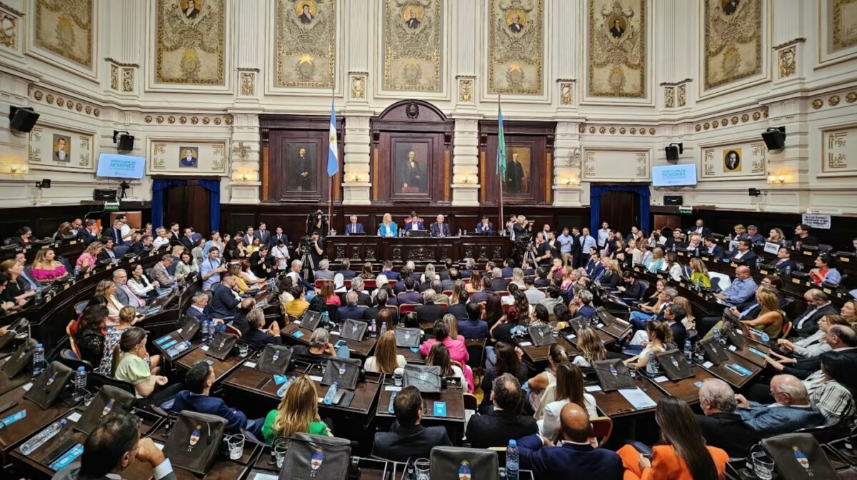 PASO en pausa: el Senado de la provincia avanza con su suspensión y sin comicios simultáneos